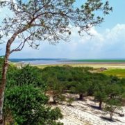 amazonie_amazon-69587_1280